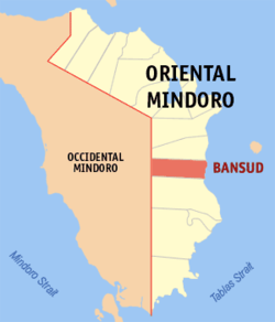 BREAKING: NPA Rebels, Soldiers Clash in Mindoro