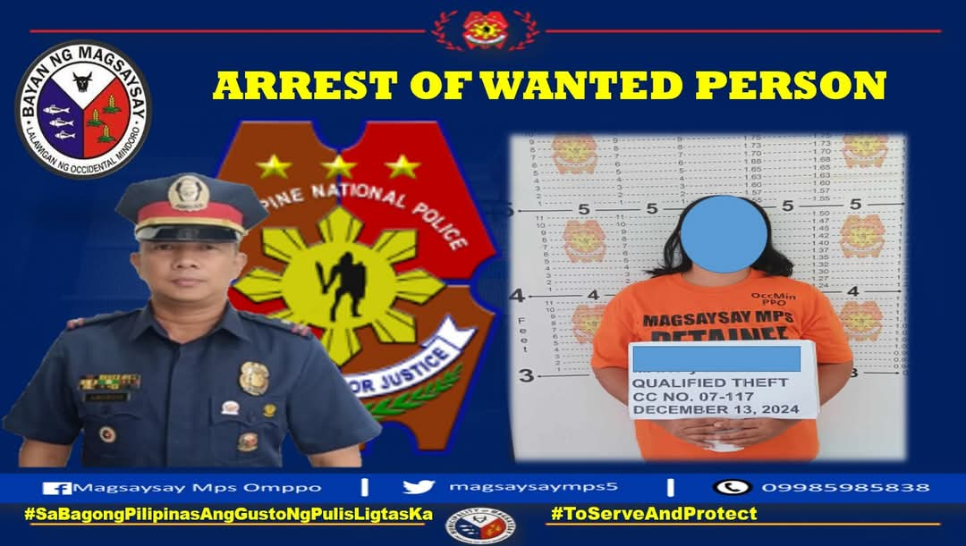 Mindoro Police Arrest Drug Dealer Suspect, Wanted Person in Separate Operations