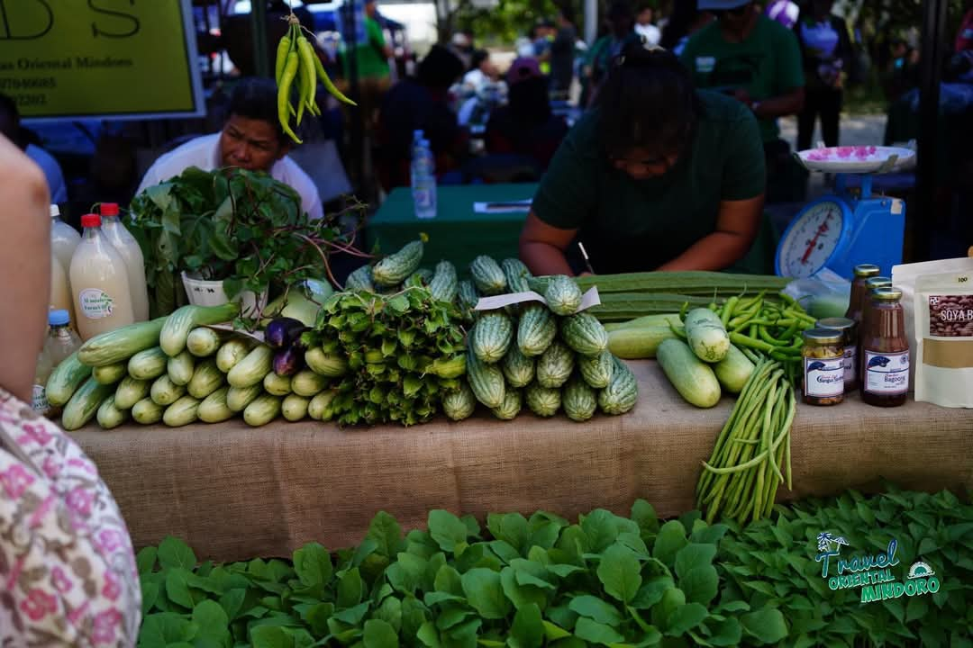 Inflation in Oriental Mindoro Surges to 3.9% in November 2024, Driven by Food and Transport Costs