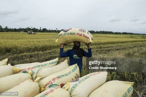 DOLE MIMAROPA Approves Minimum Wage Increase