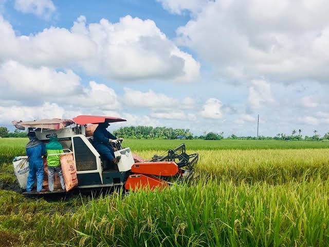 P3 Million Project to Boost Agricultural Production in MIMAROPA Launched