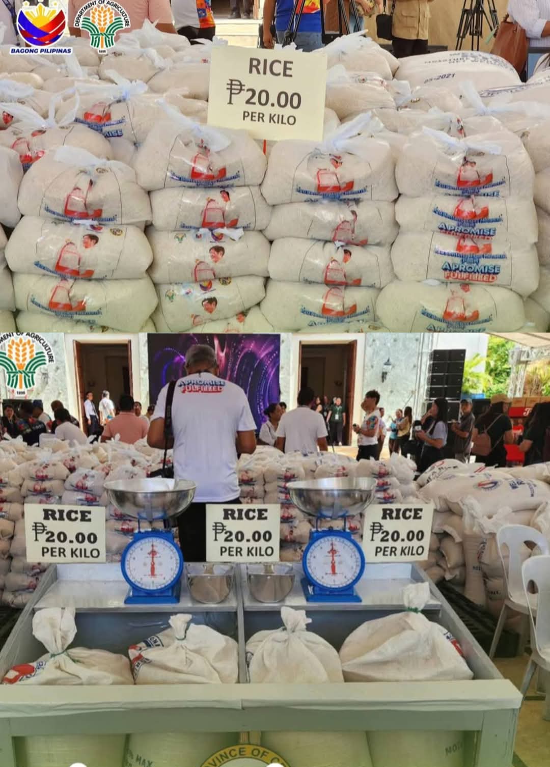 DA Launches P20 Rice Program in Calapan City